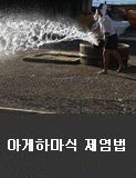 아게하마식 제염법